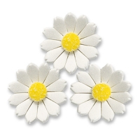 60 pcs Flowers, white