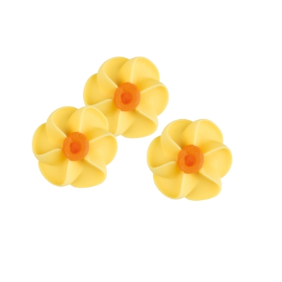 100 pcs Daffodils 