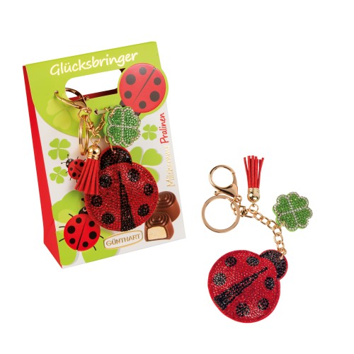 ladybird gift
